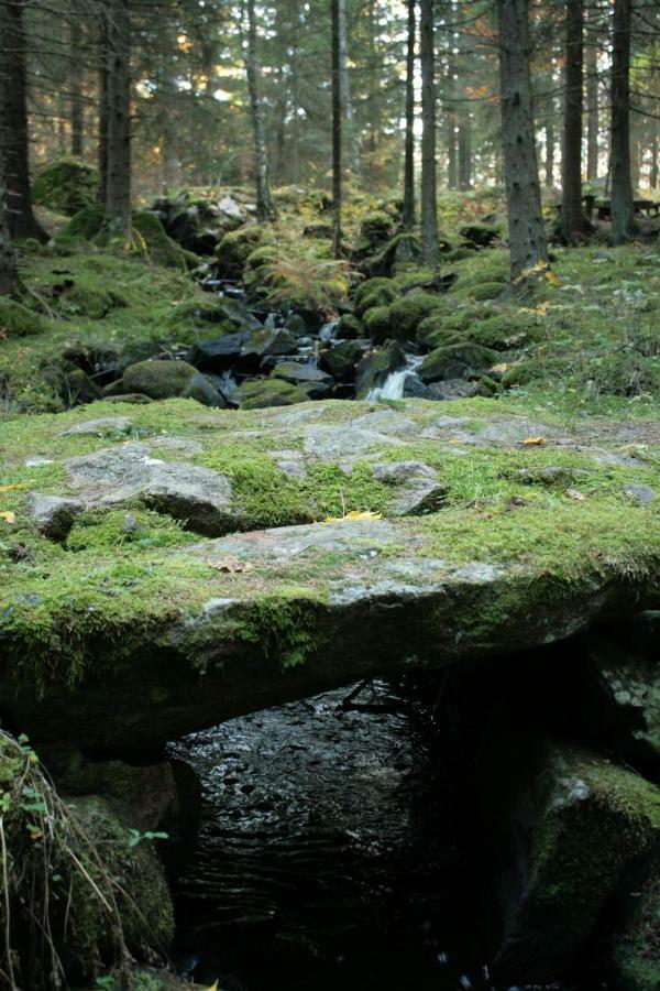 Draengstugan I Humla Blidsberg Exteriér fotografie